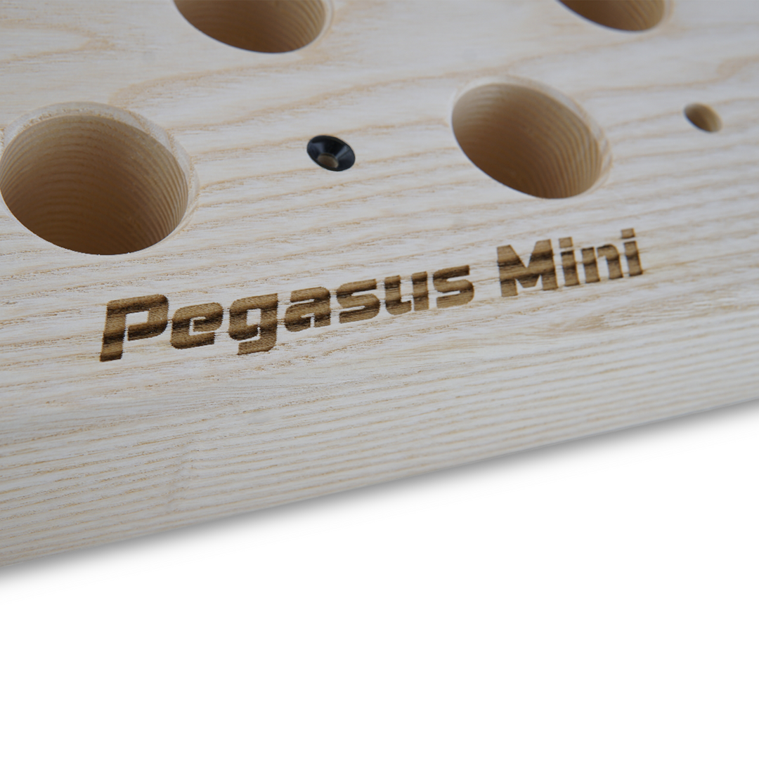 Pegasus Mini Pegboard