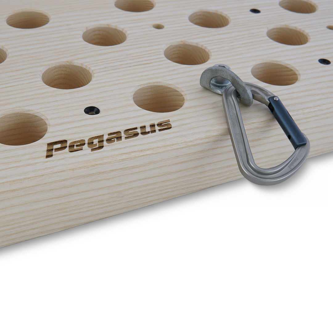 Pegasus Pegboard